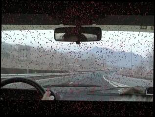 Video 26125404: hairy retro, cunnilingus hairy, vintage hairy, big hairy vagina, retro cock, hairy slut, action cunt fucking, cock horny babe, fuck porn action, hot fucking action, hot classic porn, horny filled