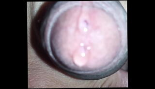 Video 1345081075: busty tattooed trans, busty big tits, busty masturbating, trans brasil