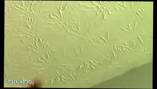 Video 1349989365: anal masturbation cum, gay masturbation cum, hardcore anal masturbation, gay blowjob masturbation, masturbation cum eating, homosexual masturbation, short hair masturbates, good homosexual, american masturbation, masturbating shaved