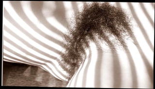 Video 1552873401: retro hairy pussy, vintage blonde hairy pussy, retro lingerie vintage, retro babe pussy, tits hairy pussy, hairy pussies straight, brunette hairy pussy, hairy pussy hd, romantic retro, secrets vintage, sensual hairy