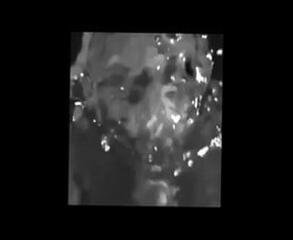 Video 170535601: big tits handjob compilation, handjob blowjob compilation, big boobs compilation, compilation straight, funny compilation, big tits underwater, big boobs sport