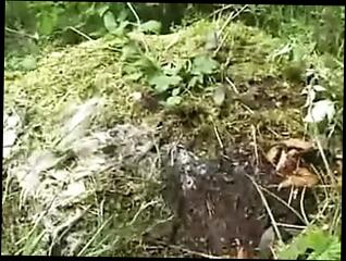 Video 112663001: gangbang double penetration, amateur double penetration, double penetration german, public double penetration, amateur public nudity, gangbang straight, amateur fucker