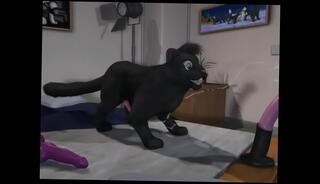 Video 381337445: furry gay animation, 3d animated gay, furry dildo