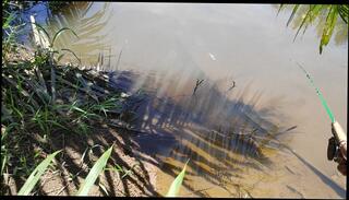 Video 1655592983: amateur small