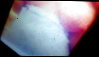 Video 1256181401: sexy boobs, sexy strokings, man gay, gay hd