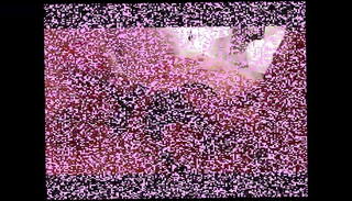 Video 741283701: shemale anal fisting