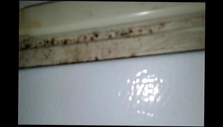 Video 497292615: toy boy solo, self pleasuring solo