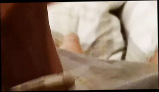 Video 887765601: bitch masturbating, gay bitch, bitch hd