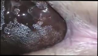 Video 401986501: interracial studs, ass interracial anal, homemade interracial anal, amateur interracial homemade, studs ass hole, black stud ass, chick interracial, amateur interracial white, straight stud, ebony interracial anal, stud stretches, stud hd, dudes butt