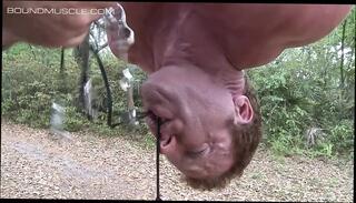 Video 1611407461: bound muscle jocks, jock dominant, fetish jock, bound bondage, gay muscle jock, dom sub, torment, domination hd, mouth nipples, ripped