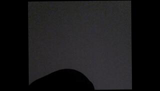 Video 166161715: wet ass ebony