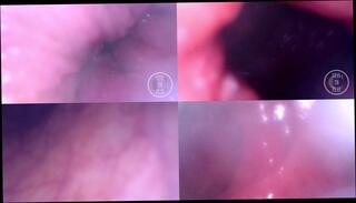 Video 1626343131: crossdresser ladyboy sissy femboy, crossdresser sissy femboy shemale, fetish crossdresser sissy, femboy trans ladyboy crossdresser, amateur shemale crossdresser femboy, amateur teen sissy crossdresser, gaping farting ass hole, gaping ass hole fingered, big ass femboy sissy, gape farting anal, sissy crossdresser homemade, pov anal gape, sissy crossdresser cock, cute sissy femboy, young sissy femboy, anal gape webcam, gaping ass hole stretched, small cock sissy, dick pov, inside pov, loose ass