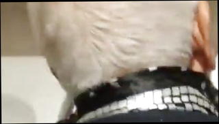 Video 1438161201: gay grandpa big cock, grandpa big cock webcam, grandpa fat cock, grandpas old cock, old young daddy grandpa, grandpa anal, grandpa bathroom, grandpas public, grandpa outdoors, cock latino gay, cock anal hd, gay locker