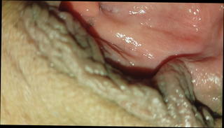 Video 851738501: mom kissing, kissing straight, moms ex