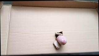 Video 1625426081: solo gay uncut cock, amateur uncut cock, cock dick uncut, gay homemade solo, homemade gloryhole, cock close uncut, nude uncut, uncut european, hole solo, hd uncut, homemade glory hole, funny homemade