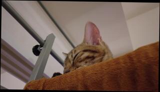 Video 1579699323: pussy kat, lesbian bukkake, babe lesbian pussy toying, anal lesbian babes toying, sexy lesbian pussy, lesbian girls pussy, amateur lesbian pussy, lesbian sex toy, lesbian asian japanese girl, bukkake facial, fake bukkake