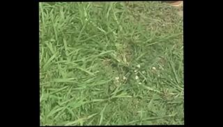 Video 240012455: feet soles toes, woman feet, ebony soles toes, black toes