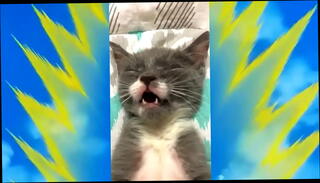 Video 1250157465: anime amateur, cute anime, homemade ball