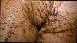 Video 1177607601: wife farting, shower farts, straight