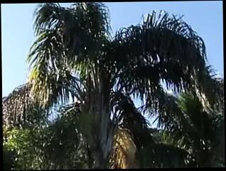 Video 337000701: dick shemale fucks guy, fuck shemale porn, fucking surprise