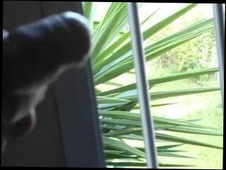 Video 42182401: public nudity, straight public