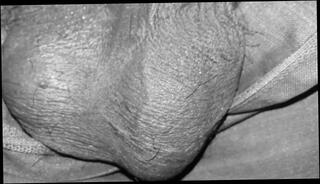 Video 346993303: solo cock tease, homemade amateur solo, solo male tease, big dick solo male, solo brunette amateur, amateur mature solo, amateur asian solo, indian male solo, desi solo, european male solo, african solo, thai solo, solo american, solo brazilian, old solo, desi indian boy, bengali homemade, pakistani big dick, funny amateur