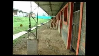 Video 357357605: colombiana sexy, sexy latin, sexy hd