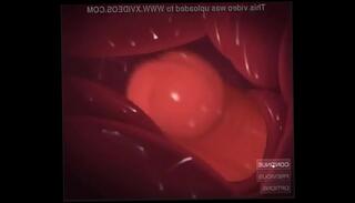 Video 613428665: bondage sex bdsm, bondage anime, pokemon animation, hetero sex