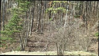 Video 1582939011: cougar milf masturbate, milf cougar fucks, big tits milf cougar, cougar milf pussy, cougar milf girl, milf pussy licked fucked, tits milf titty fucks, orgasm milf teen pussy, milf boobs tit fucked, milf small tits fucks, natural tits milf fucks, milf brutally fucked, milf public masturbation, milf masturbation hd, milf vagina, straight milf, titten, arsch