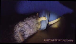 Video 1603544683: amateur creampie cumshot compilation, solo male cumshot compilation, creampie sex compilation, ass creampie compilation, blowjob creampie compilation, solo toying compilation, solo masturbation compilation, furry compilation, solo play compilation, creampie compilation big, solo male masturbation moaning, big dick cumshot compilation, rough deep throat facefuck, creampie big thick dick, dick fleshlight, bad ass amateurs, dick destroys