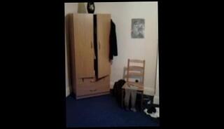 Video 64436601: transvestite, man gay