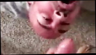 Video 1516531501: hairy daddy suck, hairy gay suck, hairy daddy cumming, hairy daddy masturbation, hairy bear sucking, deep throats hairy, hairy bear blowjob, deepthroater