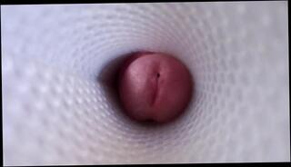 Video 1455312503: solo uncut cock masturbating, solo gay uncut cock, fetish gay solo masturbation, solo masturbation fleshlight, solo male masturbation pov, pov solo cumshot, uncut virgin, virgin boy gay sex, solo cock masturbation cum, solo masturbation sex toys, solo pussy masturbation sex, uncut big cock boy, amateur uncut cock, cum inside fleshlight, vagina fleshlight, massive uncut cock, sex doll pov, uncut cameras