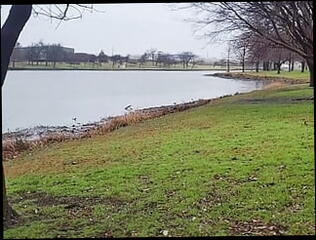 Video 1608551421: bdsm fetish cock, fetish bdsm fucking, fetish solo masturbation, fetish hardcore bdsm, bdsm fetish sex, fetish gay solo, bdsm fetish plays, solo cock masturbation cum, dick solo masturbating cumming, solo masturbation sex toys, toy sounding urethral fetish, solo male masturbation cum, solo vibrator orgasm, solo male masturbation cumshot, big cock solo jerk, homemade masturbation solo, solo amateur masturbation, straight amateur solo, solo bathroom masturbation, solo men masturbating, big white cock solo, solo man masturbation, solo masturbation hd, bdsm insertion, solo tattoo male, urethra cum, american gay sex, hotel cumshot, bathtub cumshot