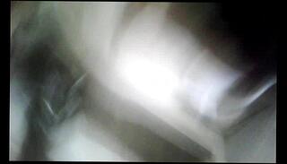 Video 35168205: exotic bitch, black bitch