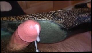 Video 150953601: heels shoejob, aunt, feet, climax, man gay