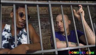 Video 311699701: interracial cock riding, black cock interracial porn, interracial gay cock, interracial gay boy, white interracial cock, big black cock interracial, white guy interracial, interracial tattooed, interracial hd