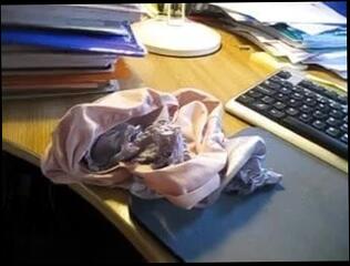 Video 42409401: cum wife panties, gay wife, gay man cum, wife shopping