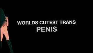 Video 1662929165: tiny solo, shemale solo trans, tiny dick shemale, solo trans masturbation, tiny cock shemale, small cock shemale solo, ts solo masturbation, tiny women, solo ejaculation, solo transsexual, solo female masturbation, solo gir, trans penis