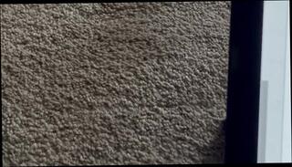 Video 1580950413: brandi love, erotic solo, solo women, amateur solo male, muscular solo, romantic solo, italian solo, men solo, beautiful lady, funny amateur, behind amateur