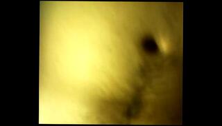 Video 135520155: very small penis, gay