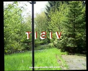 Video 1601816121: vintage german hardcore porn, classic vintage german hardcore, vintage pornstar, vintage straight, vintage european
