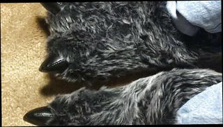 Video 1567618011: gay cum feet, feet handjob, masturbating feet, american feet, feet hd