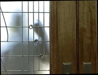 Video 1574208891: bbc dildo gaping, double penetration anal gape, anal dildo gaping ass, huge bbc dildo anal, double cock dildo, bbc dildo cumming, dildos big anal gape, black double dildo, double penetration vibrator, dirty double penetration, double penetration big dicks, redhead double penetration, white double penetrated, double penetration hd, bbc cunt, straight bbc, african bbc, double time