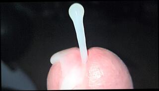 Video 1617218961: huge cock solo cum, cock solo cumshot, solo cumshots gay, cum close solo, slow solo, solo hd, huge american cock