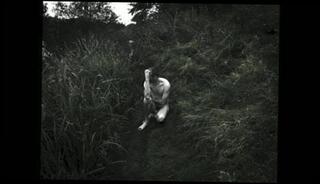 Video 64962701: outdoor nudity, man gay, wanking