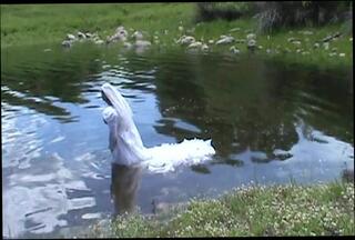 Video 279471701: crossdresser masturbation, gay crossdresser, crossdresser outdoor, wet masturbation