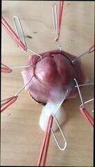 Video 295091101: cbt bdsm, skinny bdsm, bdsm sex toys, skinny gay sex, amateur bdsm sex, cbt handjob, cbt cum, cbt cock, skinny gay man, skinny big cock