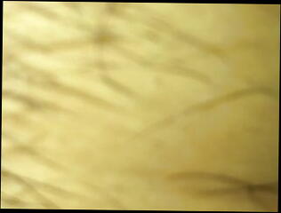 Video 884981601: busty hairy milf, busty milf mom, busty milf sex, busty milf cheating, busty curvy milf, busty european milf, straight milf, busty hotel