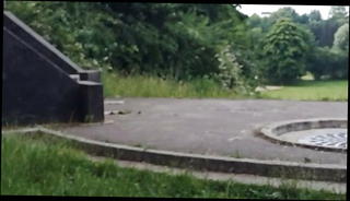 Video 1568662031: gay hard cock, gay man cock, gay man shower, hard cock jacking, dick shower, dick meet